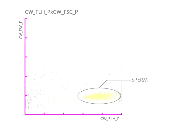 Scattergramme mettant en évidence une population de spermatozoïdes dans un échantillon d’urine.