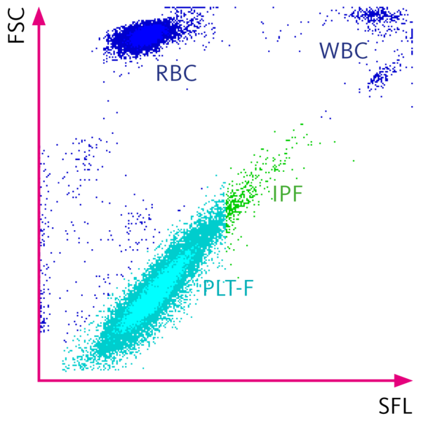 Scattergramme du canal PLT-F montrant une répartition cellulaire normale