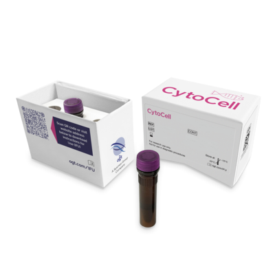 Sondes CytoCell® IVDR