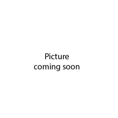 Marqueur Sienna+
