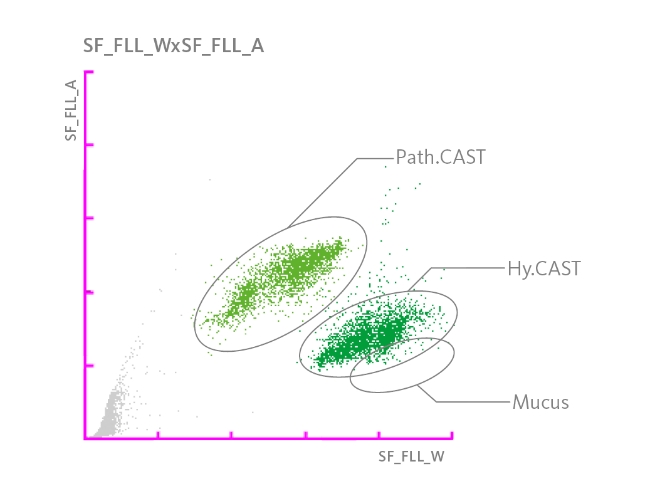 Scattergramme mettant en évidence une population de mucus parmi des cylindres pathologiques et hyalins.